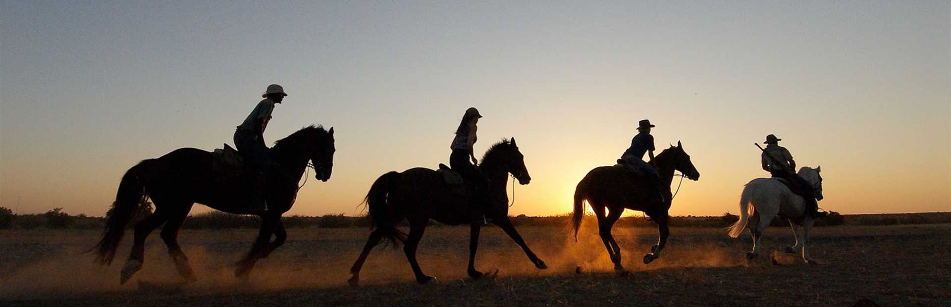 Mashatu Game Reserve